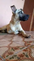 Tom