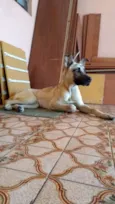 Tom