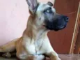 Tom