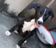 Não tem nome