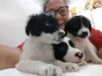 BEBES