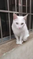 Lili
