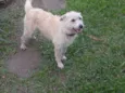 Rosie