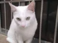 Lili