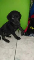 Nao tem