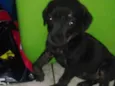 Nao tem