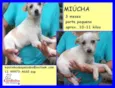 Miucha Bebezinha