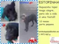 Estopinha Pequeno