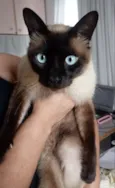 Não sabemos