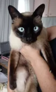 Não sabemos