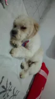 Marley 