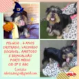 Pelucio