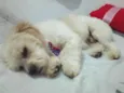 Marley 