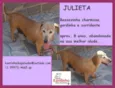 Julieta