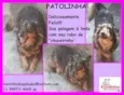 Patolinha