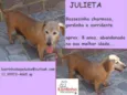 Julieta