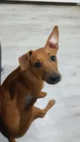 zé