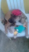 Adão
