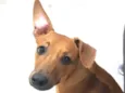 zé