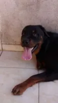 tayson