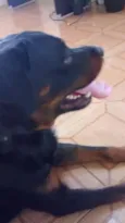 tayson