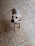 zuzu