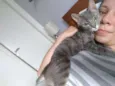 Amélie