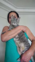 Amélie