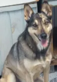 Síria