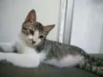 Tom