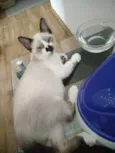 Jerry