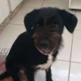 Meg
