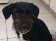 Meg
