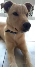 Léo