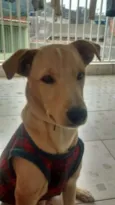 Léo