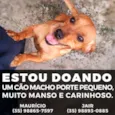 Sem nome