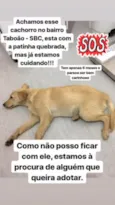 Bob