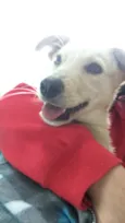 Bob