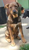 Tango