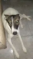 Luke
