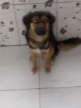 Nayla