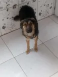 Nayla