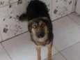 Nayla