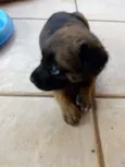Não tem encontrei fi