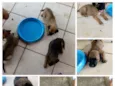 Não tem encontrei fi