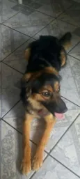 Nayla
