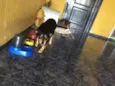 Penélope