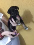 Kiara