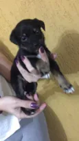 Kiara
