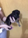 Kiara